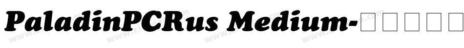 PaladinPCRus Medium字体转换